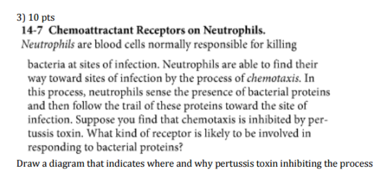 Neutrophils arc blood cells normally responsible f