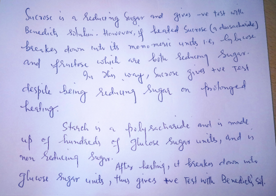 Sucrose is a reducing sugar and gives ve test with Benedicts solution. However, is heated Surrose (a chasacharide) breakes do