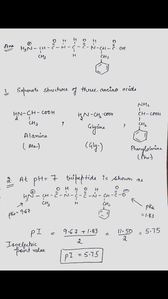 Ans H :-N-CH- su OH H₂N-CH-E-N CH₃ F CH2 ļ Separate structure of three amino acids NH2 CH-cook HN-CH-COOH a CH3 HN-CH2-Cooh 2