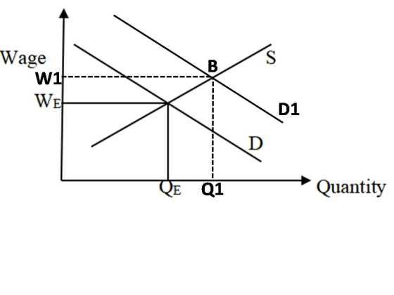 Wage W1------ WEL QE 01 Quantity