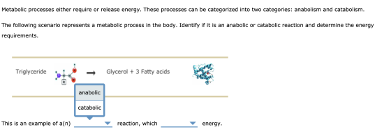 Metabolic processes either require or release energy. These processes can be categorized into two categories: anabolism and c