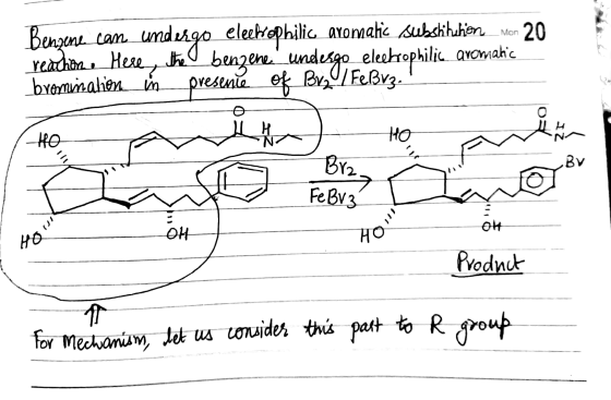 Mon Benzene can undergo electrophilig aromatic substitution_mon 20 reachine Here, the o benzene undesgo electrophilic aromati