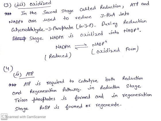 (3) (iii) oxidized *** In the Second stage called Reduction, ATP and NADPH are used to reduce 3-PGA into Glyceraldehyde - 3-P