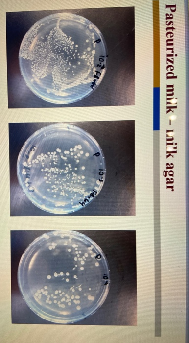 Pasteurized milk - uik agar