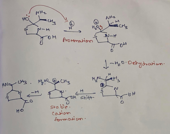 I NH₂ Ho the NH2 @ HOS 3 Proronation - 1-H2 6. De bydration- Ab HW CH3 n a lo HO stable : cation formation.