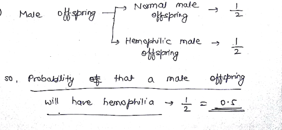 . . Male offspring » Normal male on offspring — I L Hemophilic male offspring so. Probability of that a more will have hemoph