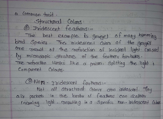 a common trait . Strouctuoal Coloos: Indescent feathers: .: The best example is googiet of many humming bird Species. The sid