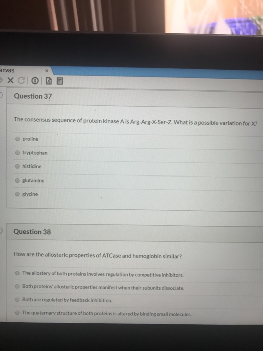 anvas XCIO DE > Question 37 The consensus sequence of protein kinase A is Arg-Arg-X-Ser-Z. What is a possible variation for X