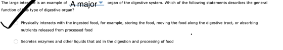 organ of the digestive system. Which of the following statements describes the general The large intese is an example of A. f