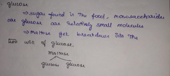 glucos Sugau founel Thu foodl morosaccharide lueosr aa Relertivaly small moueules get bioak clown ts Te Maltose wo uirt