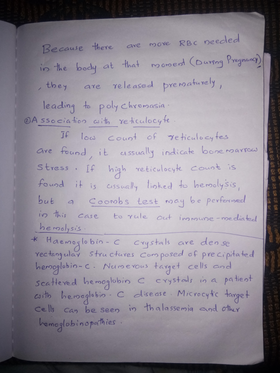 Because there are more RBC needed in the body at that moment (During Pregnancy) they are released prematurely, leading to pol