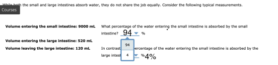 While both the small and large intestines absorb water, they do not share the job equally. Consider the following typical mea