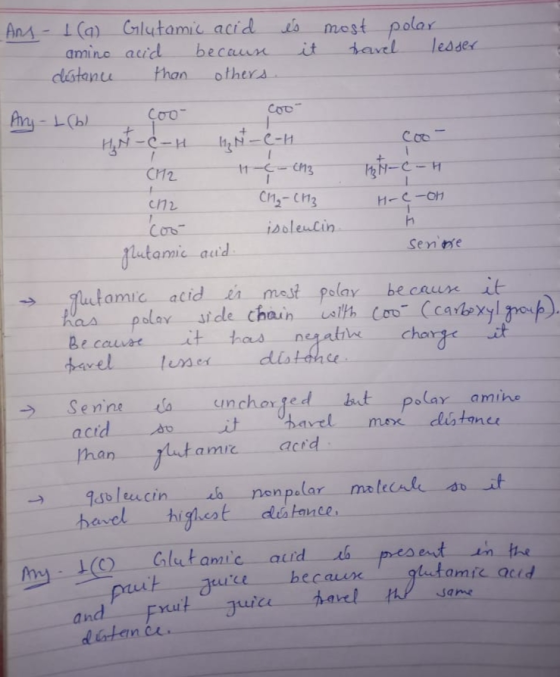 Ans - 1(a) amino distance Glutamic acid acid because than others. és most polar it travel lesser Ang L(b) Coo HN-C-H (12 Cool