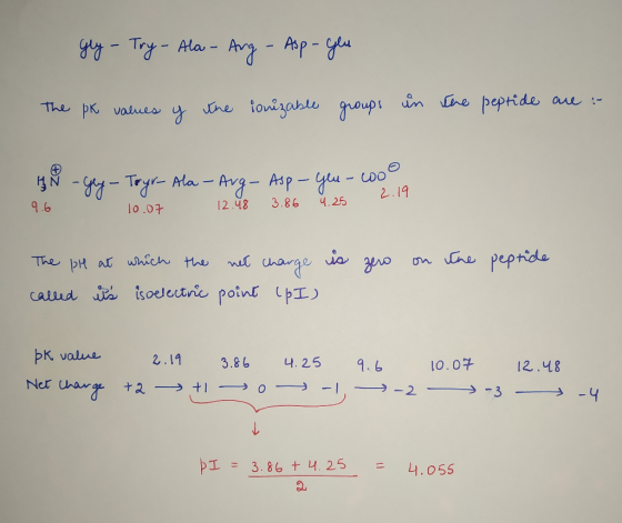 gly - Try - Ala - Ang - Asp-yeu The pk values y the ionizable groups in the peptide are : IN -Gey- Tryr- Ala - Arg - Asp - 9.