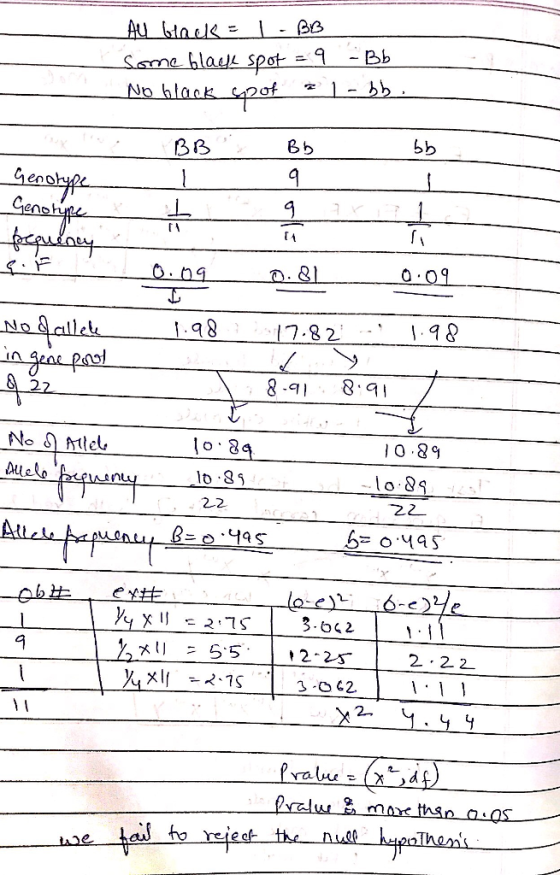 2 6 b ß& en eno .82 .98 2 o 5 84 In XII = 5.5 . | 12.25. 2 2. 2 e hai ho reie