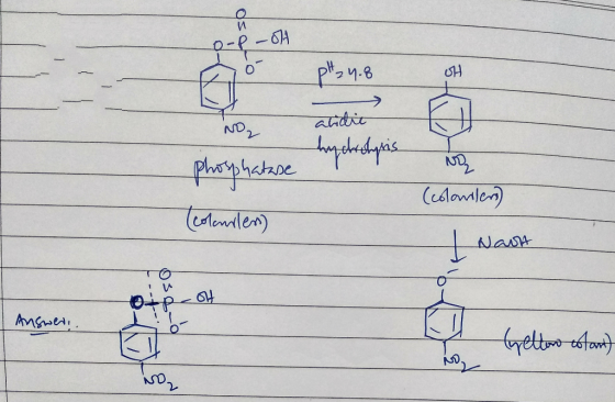 os - POH do pH 4.8 H No alidic enperonis endrolpris T va phosphatase (coloniser) Tcolmiles) IMA S Answer! -a (yellow estant)