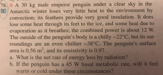 78. Il A 30 kg male emperor penguin under a clear sky in the BIO Antarctic winter loses very little heat to the environment by convection; its feathers provide very good insulation. It does lose some heat through its feet to the ice, and some heat due to evaporation as it breathes; the combined power is about 12 W The outside of the penguins body is a chilly -22°C, but its sur- roundings are an even chillier -38°C. The penguins surface area is 0.56 m2, and its emissivity is 0.97. a. What is the net rate of energy loss by radiation? b. If the penguin has a 45 W basal metabolic rate, will it feel warm or cold under these circumstances?