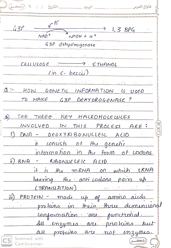 Dis 1101 nom. Ilgis LLLLLLLLLLL 44444444444 444444444444444 GP - rpio > 1, 3 BPG NADT NADH + H+ G3P dehydrogenase CELLULOSE >