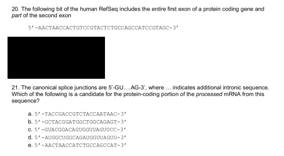 20. The following bit of the human RefSeq includes the entire first exon of a protein coding gene and part of the second exon