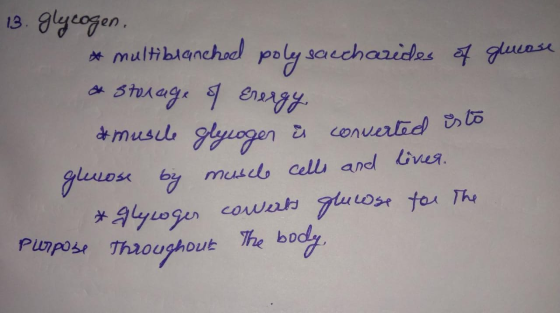 13. ycogen multblanchad poly saechazides uase SteA age 9ersrgy musil gyogen E converladLo by musd cell and ie 7uosr fau Th Pm