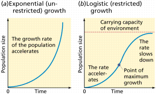 (a)Exponential (un- restricted) growth (b)Logistic (restricted) growth Carrying capacity of environment The Population size T
