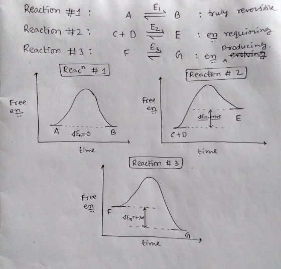 Reaction Reaction Reaction A ct #1: #2² #3: Reach #1 Ei, B 2 E : truly reversible : en requioning e producing. : en evolving