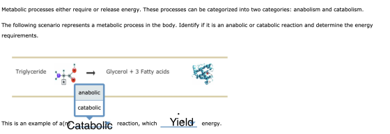 Metabolic processes either require or release energy. These processes can be categorized into two categories: anabolism and c