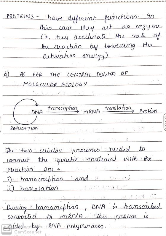 AAAAAAAAAAAAAAAAA AAAAAAAAAAAAAAAAAAAAAAAAA AAAAAAAAAAAAAAAAAAA PROTEINS - have different functions. In this case they act as