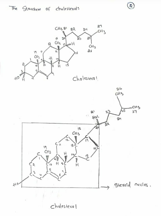 The Stoucture of cholesterol CH3R 22 21 au CH2 IS201 as 25 CH3 H ub cholesterol دان H - Steroid nucles . cholesterol