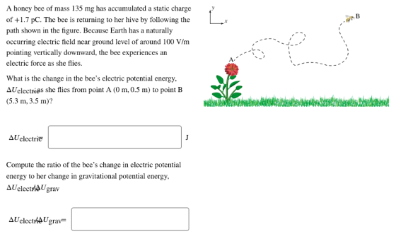A honey bee of mass 135 mg has accumulated a static charge of +1.7 pC. The bee is returning to her hive by following the path shown in the figure. Because Earth has a naturally occurring electric field near ground level of around 100 V/m pointing vertically downward, the bee experiences an electric force as she flies. A. What is the change in the bees electric potential energy, AUelectrias she flies from point A (O m, 0.5 m) to point B (5.3 m, 3.5 m)? Δ Uelectrie Compute the ratio of the bees change in electric potential energy to her change in gravitational potential energy, AUclectiAUgrav Δ Uelectrie Ugrav-