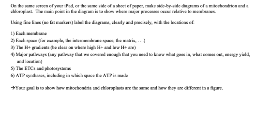 On the same screen of your iPad, or the same side of a sheet of paper, make side-by-side diagrams of a mitochondrion and a ch