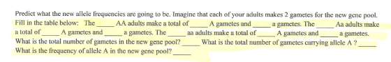 Predict what the new allele frequencies are going to be. Imagine that cach of your adults makes 2 gametes for the new gene pool. Fill in the table below: The a total of What is the total number of gametes in the new gene pool? What is the frequency of allele A in the new gene pool? AA adults make a total of A gametes and a gametes. The Aa adults make A gametes and gametes. The aa adults make a total of A gametes and a a gametes. What is the total number of gametes carrying allele A?