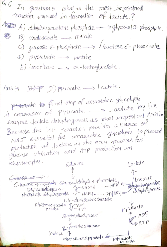 In question 5 what is the most important Eccetion invalued in formation of lactate.? AD? A) clehydroxyacetone phosphate -->g