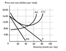 Price and cost (dollars per meal) 20.00 MC Are 16.00 60 80 100 Quantity meals per day
