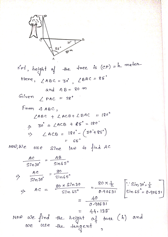 B 300 85° 80 m А Net, height af tree of the IS (CP) =h meten Hene, LABC = go ĽBAC = 85. and A B = 80 m Given 2 РАС 28° From