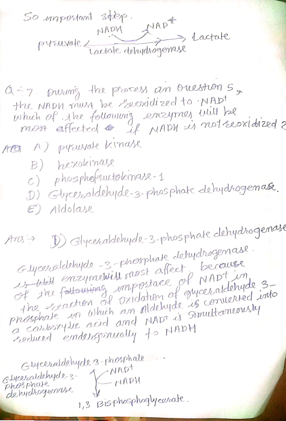 So important 3dep. NAON NADH > Lactate prouvale / Lactate dehydrogenasé Qar. During the process an ouestions, - the NADU must