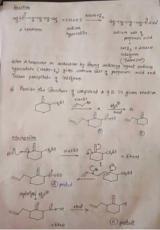 Reaction chlecy chef athy +3N001 NaoH+L2 Ch Chath of Monat sodium salt. of a hexanone sodium hyporodite. propanoic aud CHL₂ +