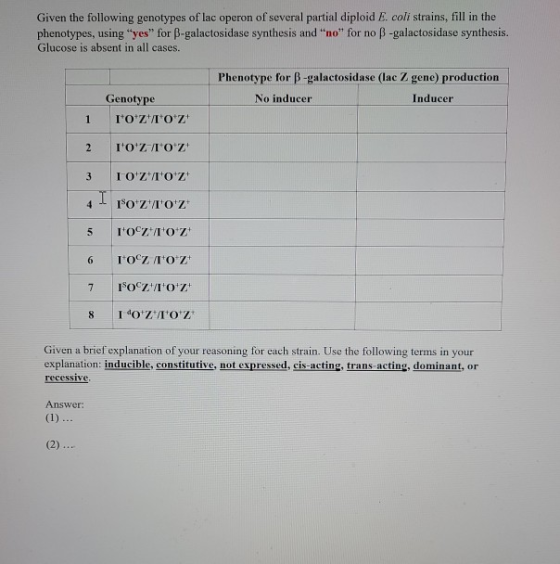 Given the following genotypes of lac operon of several partial diploid E. coli strains, fill in the phenotypes, using yes f
