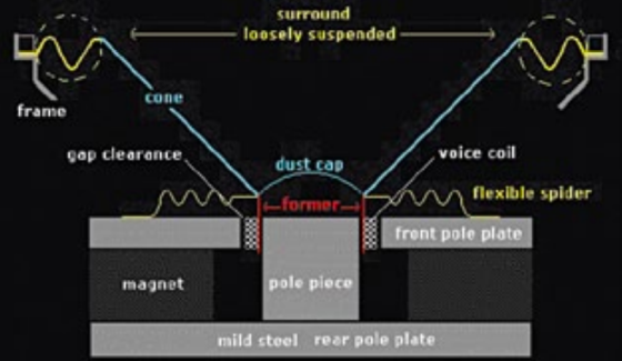 surround loosely suspended cone frame gap clearance voice coil dust cap SUL formar S hexible spider frent pole plate magnet p