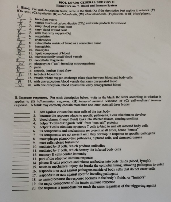 BIOL 1307.001 GENERAL BIOLOGY II Homework no. 7. Blood and Immune System if to veins fach description below, write in the bla