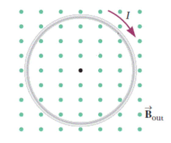 A loop of wire sits in a uniform magnetic field, e