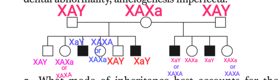 ΤΩΙΙΙ ΙΟΙΙΟΟ ΙΟΙΙΟΟ IICIUNUIICO LLLC XAY XIXa “XÂY |Xa XAXA | Or XAYa XAY XAXa W. XAXA- or XAXaXAY XÂY fibrin XaY XAXa XaY or