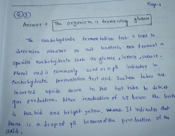 Page 1 glucose Answer → The organism is terme. termeriting determine as glucose eose e The carbohydrate fermentation test is