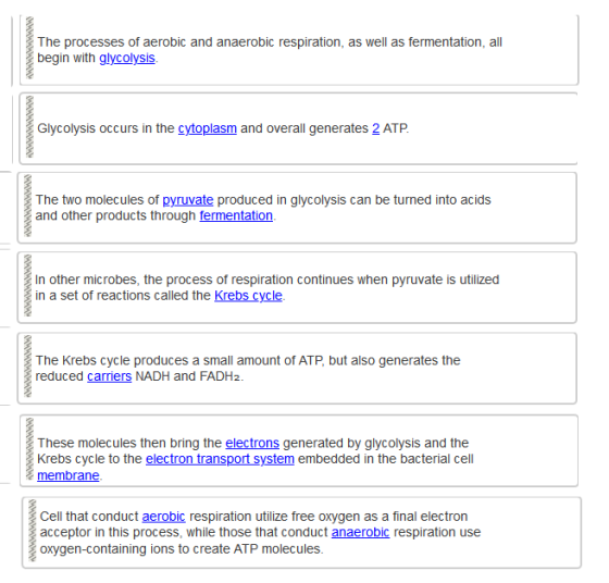 The processes of aerobic and anaerobic respiration, as well as fermentation, all begin with glycolysis Glycolysis occurs in t