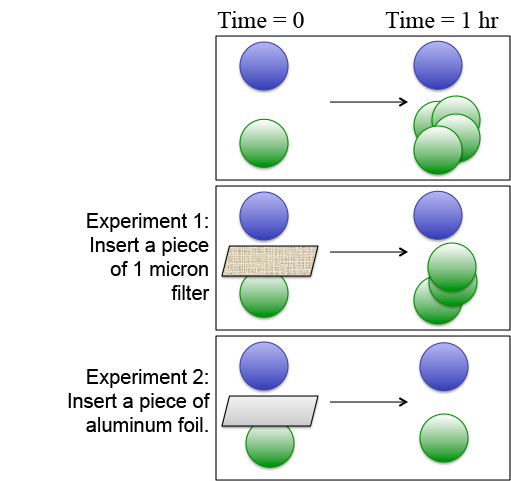 In this diagram, you see that cultur