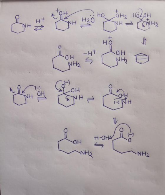 H20 H Q OH Ht NH2- OH NH OH OH 0 NH2