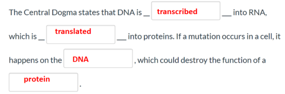 The Central Dogma states that DNA is transcribed into RNA, translated which is into proteins. If a mutation occurs in a cell,
