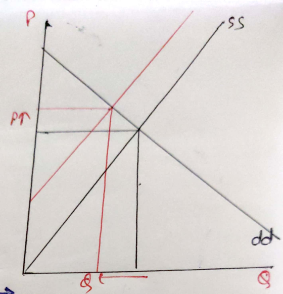 PT dd