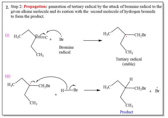 2. Step 2: Propagation: generation of tertiary radical by the attack of bromine radical to the given alkene molecule and its