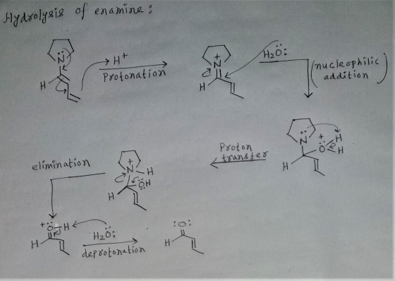 Нялхolysis of eлaдитла H2O: Ht +2= (nucleophilic Protonation addition H Proton Nt H LOCH transfer elimination N H CLEOH H t